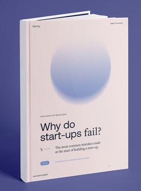 eBOOK: How to build products that make money