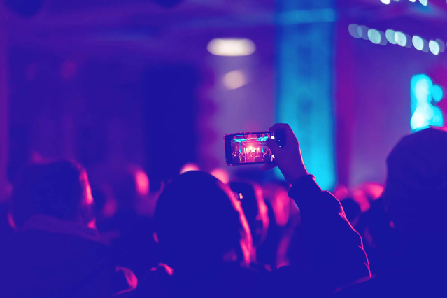 Festival management system